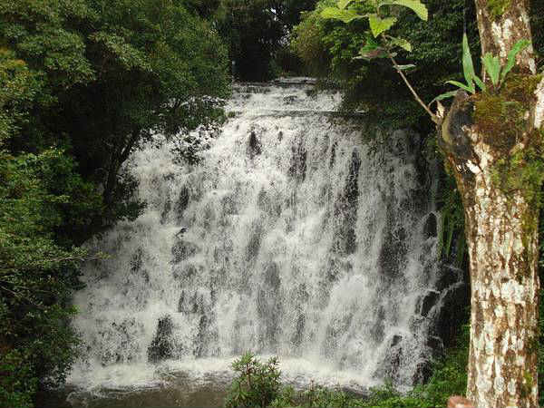 Elephant Falls