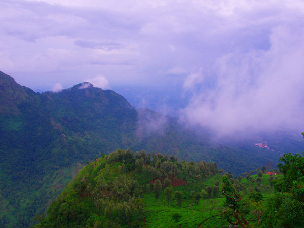 Dolphin's Nose