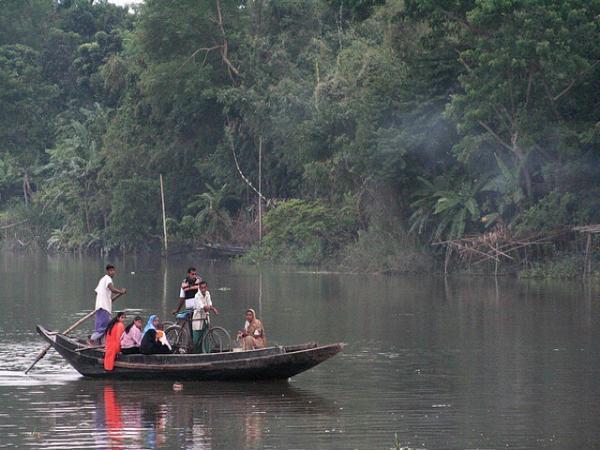 Sunderbans in Pictures