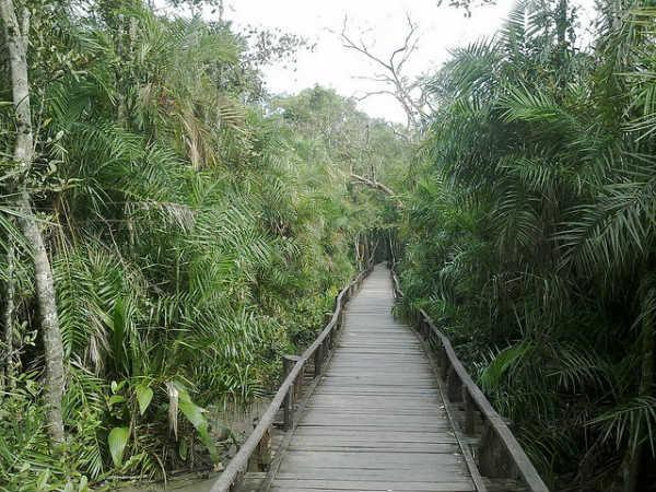 Sunderbans in Pictures