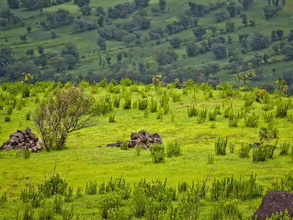 Mahabaleshwar