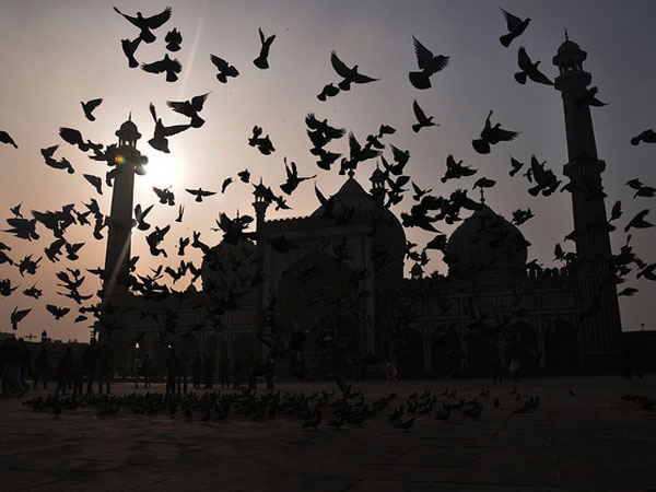 A Beautiful Sunset