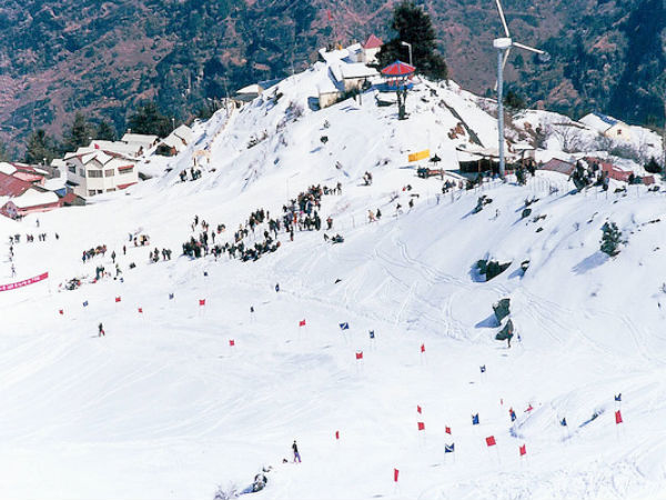 Auli