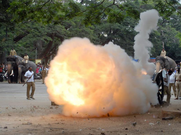 The Cannon Fires