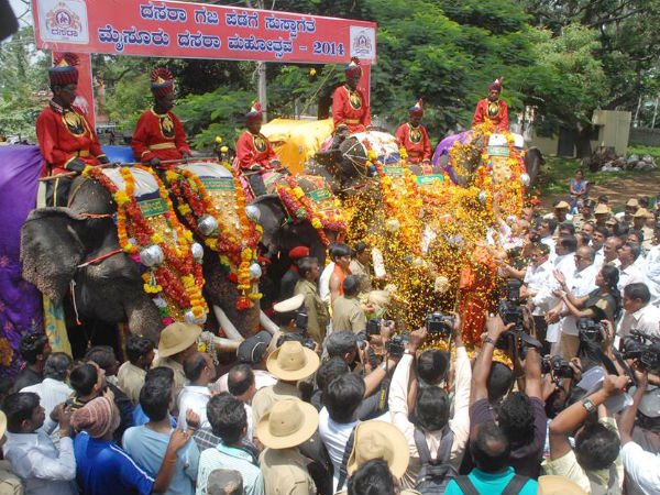 Flower Shower