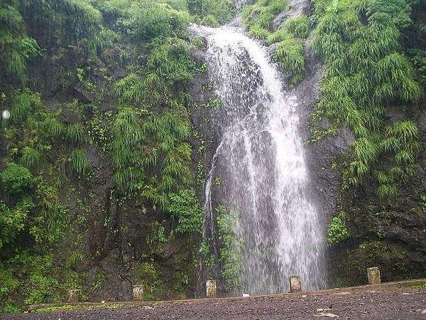 Monsoon Glory