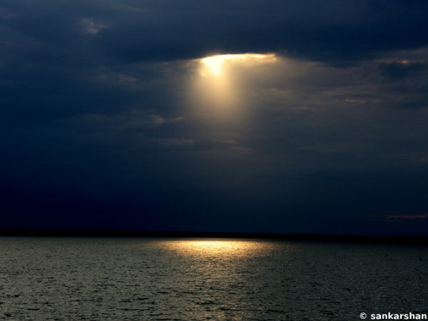 Spotlight