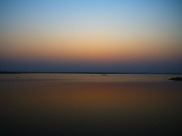 Vivid Shades