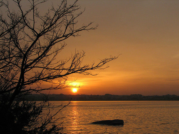 Tranquil Setting