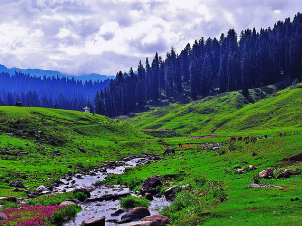 Gulmarg