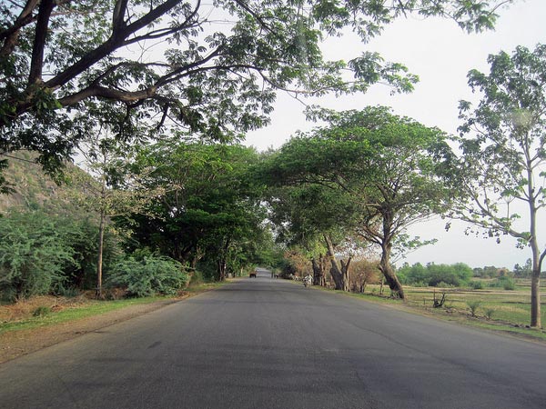 Lonely Roads