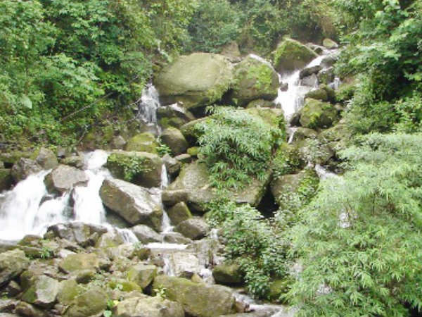 Jeolikot