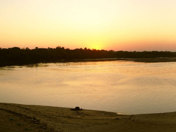 The Setting Sun