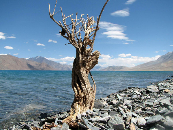Stunning shots of J&K!