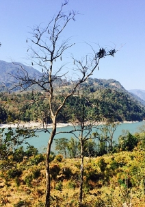 Pasighat