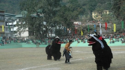 Maghey Mela