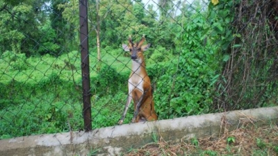 Zoological Park