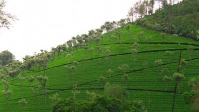 Kodanad View Point