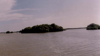 Muthupettai