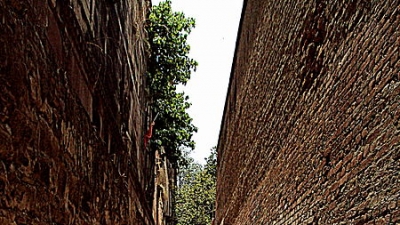Allahabad Fort
