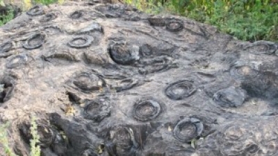 Salkhan Fossil Park
