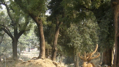 Deer Park
