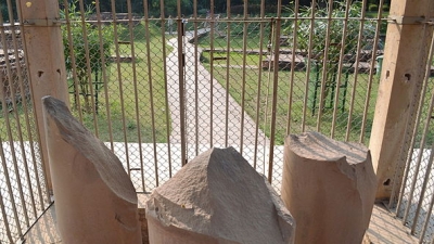 Pillars Of Ashoka