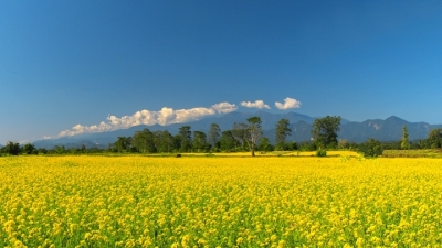 Bhalukpong
