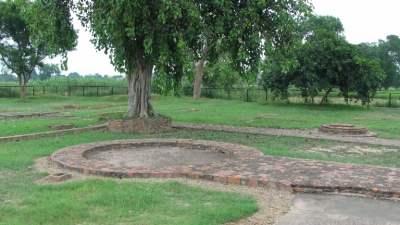 Sanghol