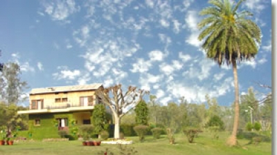 Kansal