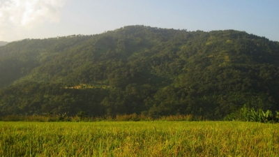 Haflong
