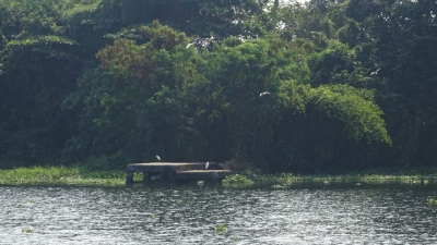 Pathiramannal