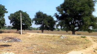 Tala Village