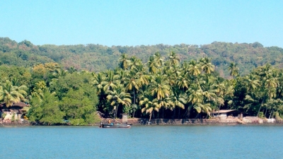 Anjanvel