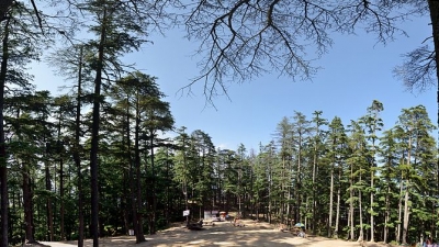 Shaily Peak