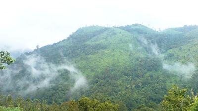 Kuttikkanam