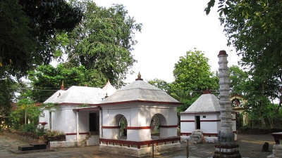 Mutts In Bhadra