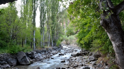 Rock Garden