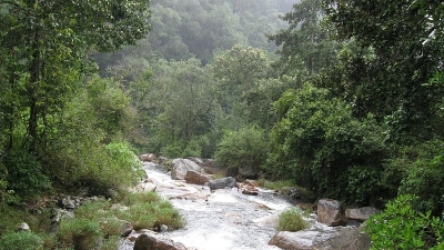 Chinnakallar Falls