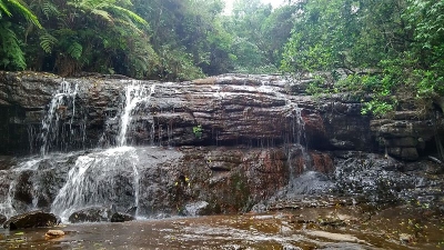 Thekkanthottam