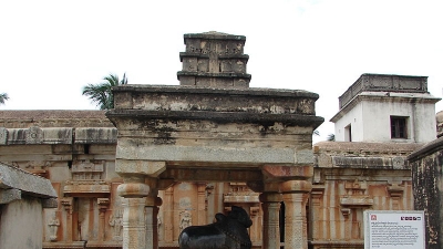 Avani