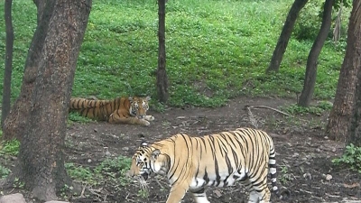 Nehru Park