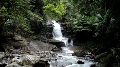 Dhoni Waterfalls