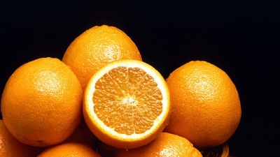 Orange Festival