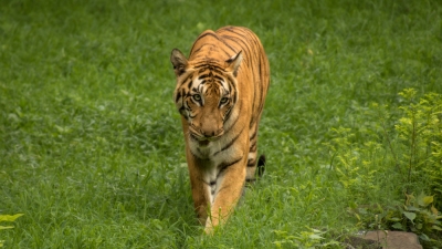 Shergarh Wildlife Sanctuary
