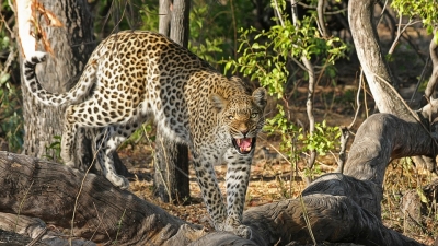 Majathal Sanctuary