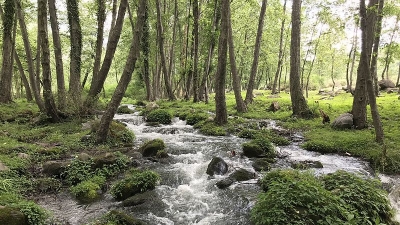 Waterfall Point