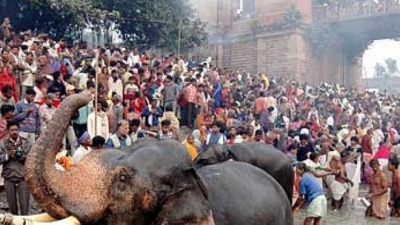 Sonepur Fair