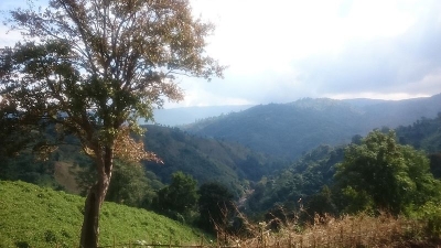 Tura Peak
