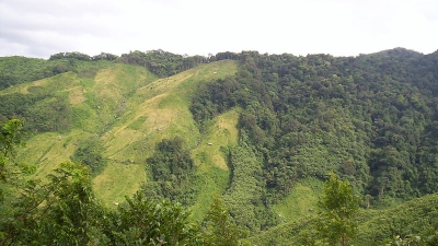 Nokrek Biosphere